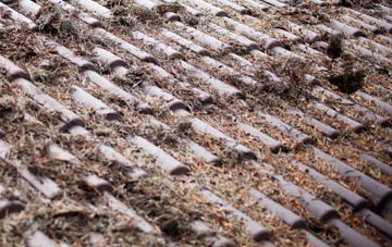 Trevaughan roof cleaning companies