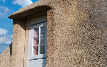 Trevaughan thatch roof disadvantages
