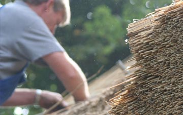 professional Trevaughan thatchers